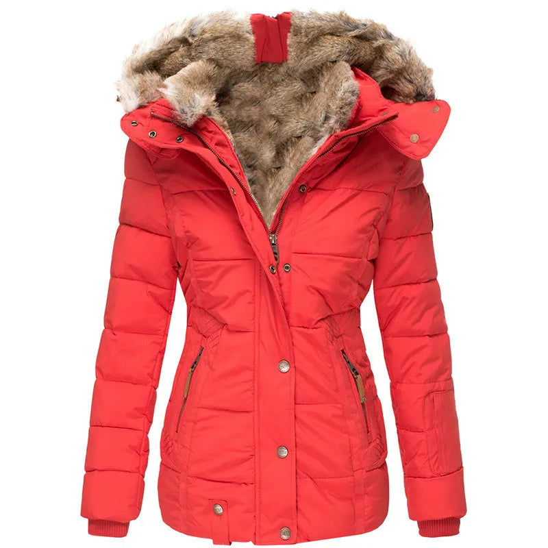 Women’s Jacket with Hoodie and Snap Front Panel